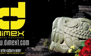 Brand Profile: DIMEX