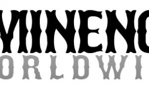 Brand Profile: Eminence Worldwide
