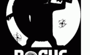 Brand Profile: Rogue Squirrel